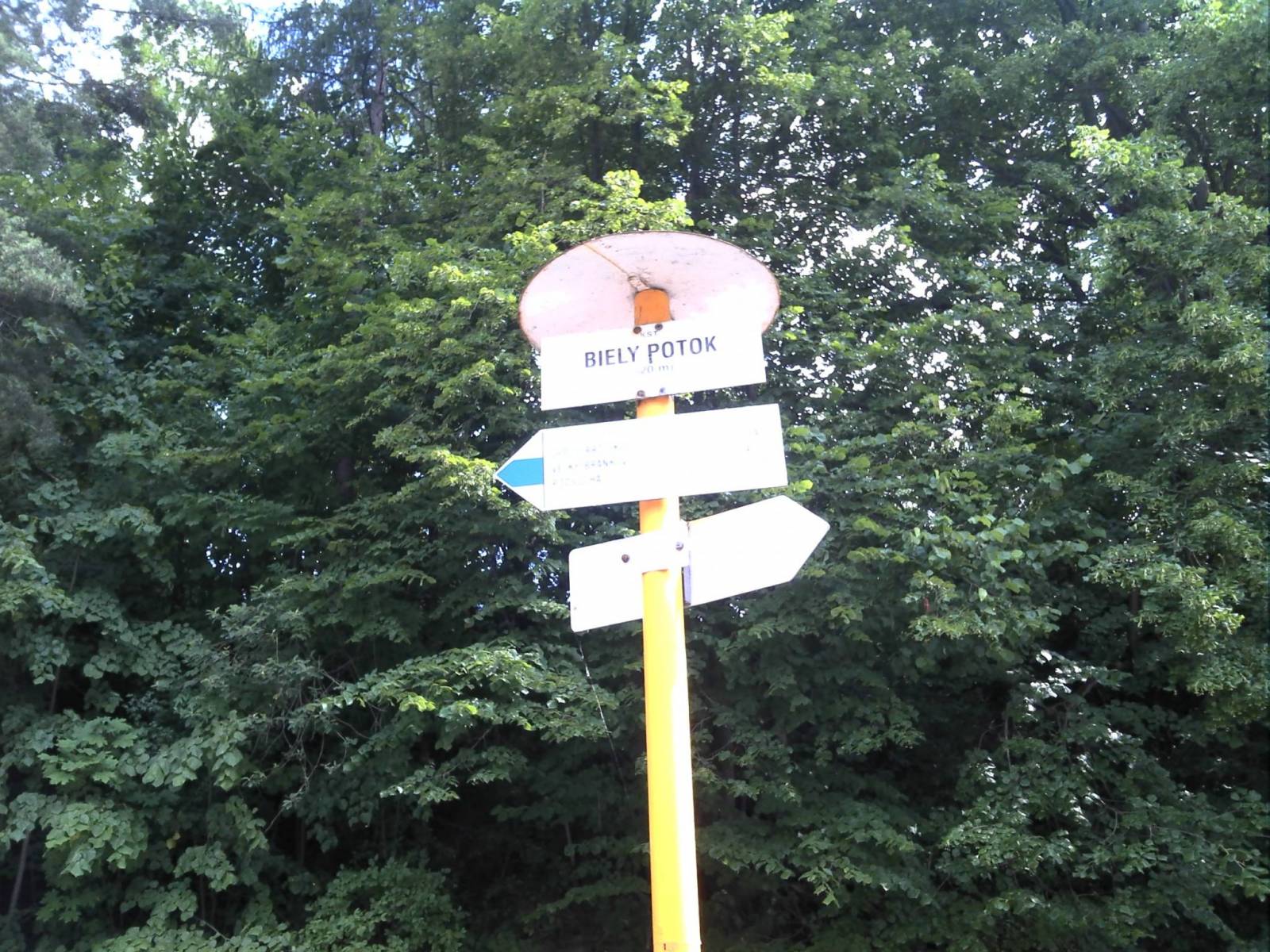 Zdjęcie 6