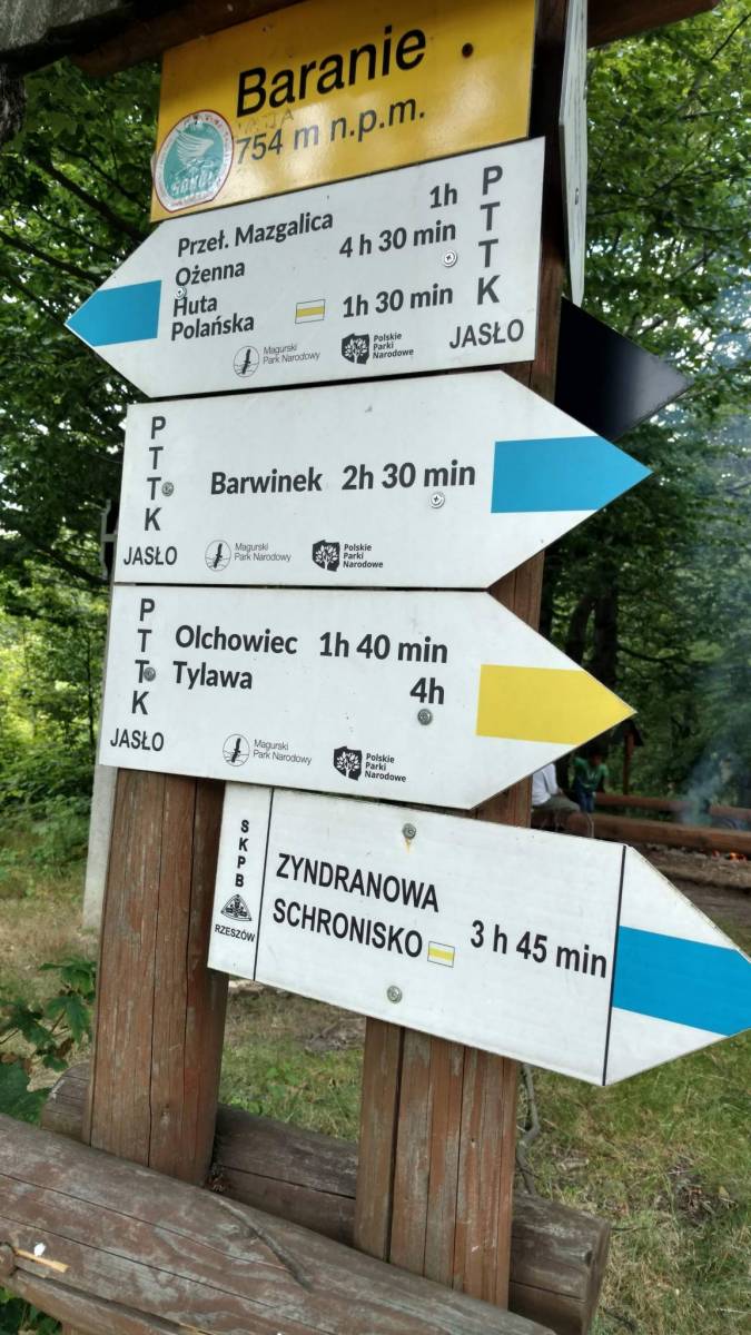 Zdjęcie 6