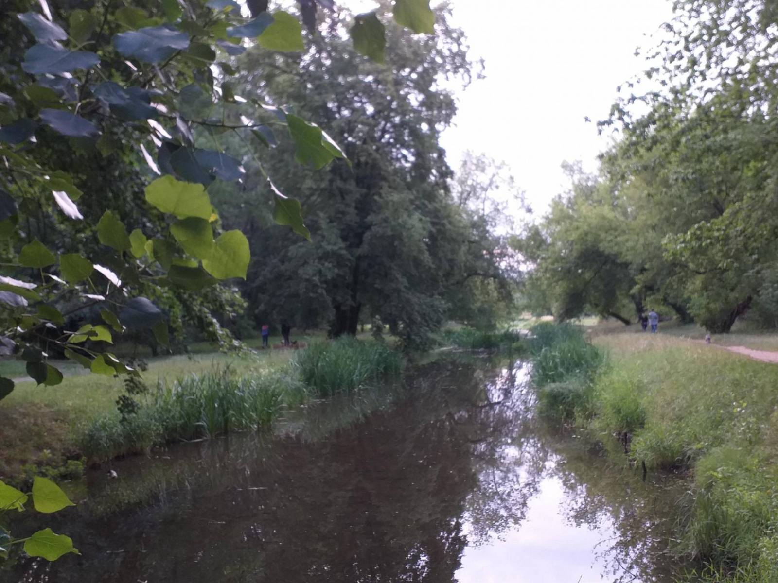 Zdjęcie 2