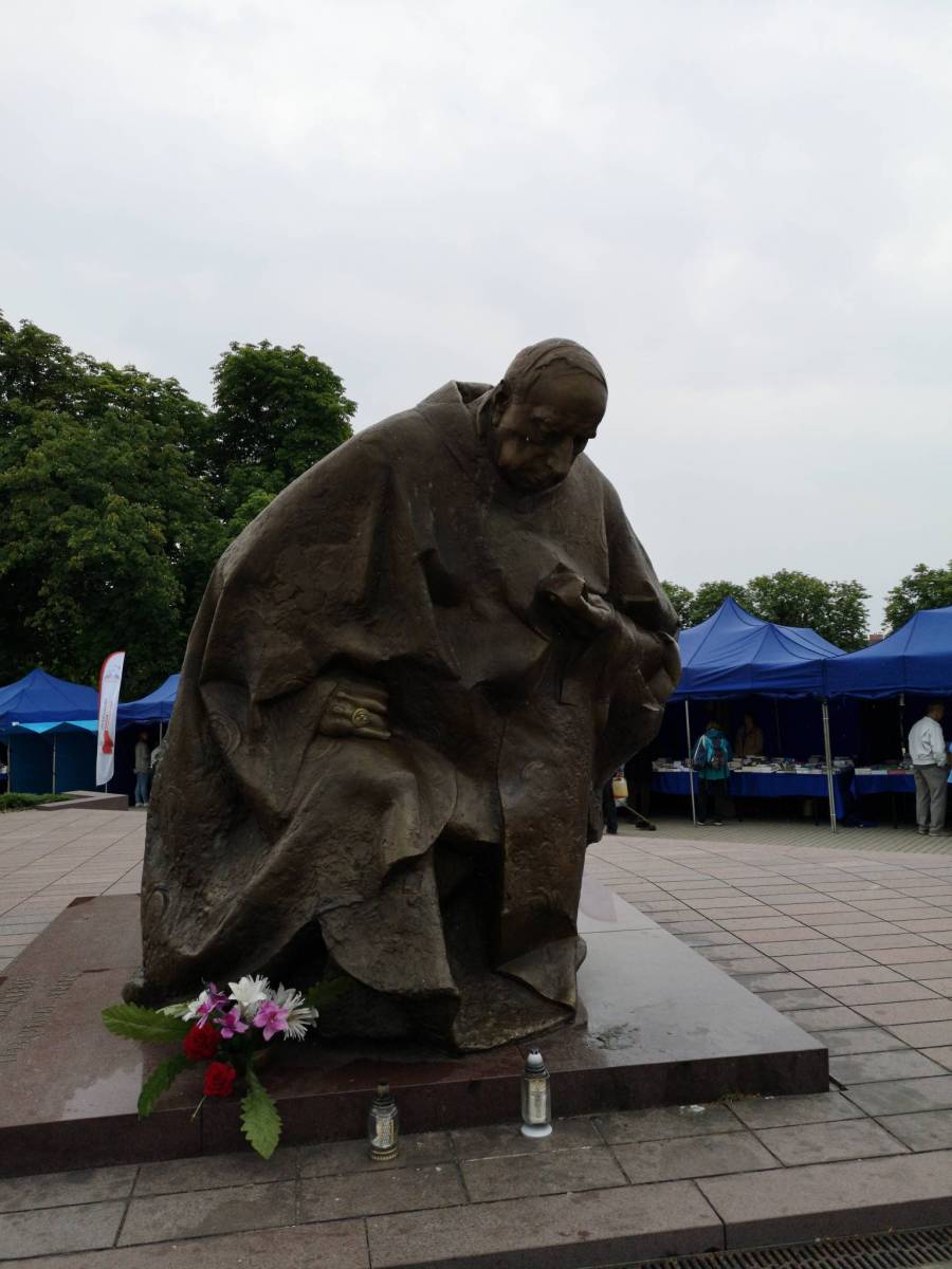 Zdjęcie 6