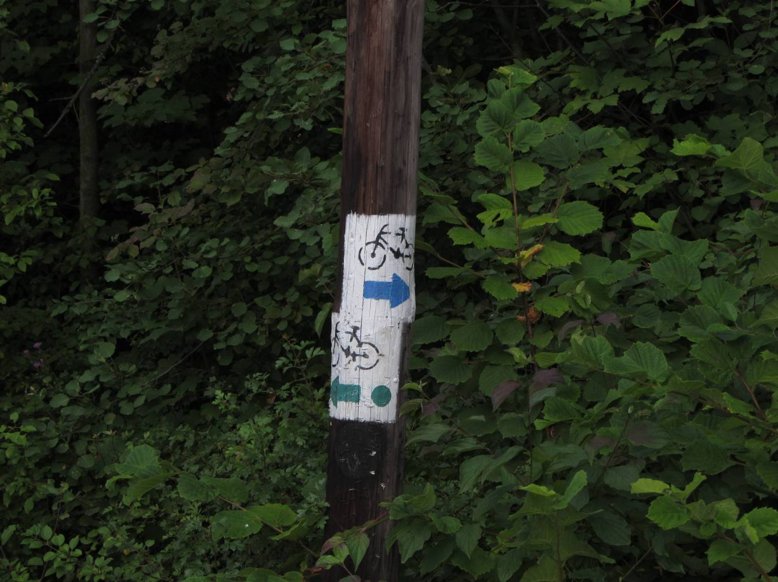 Zdjęcie 4