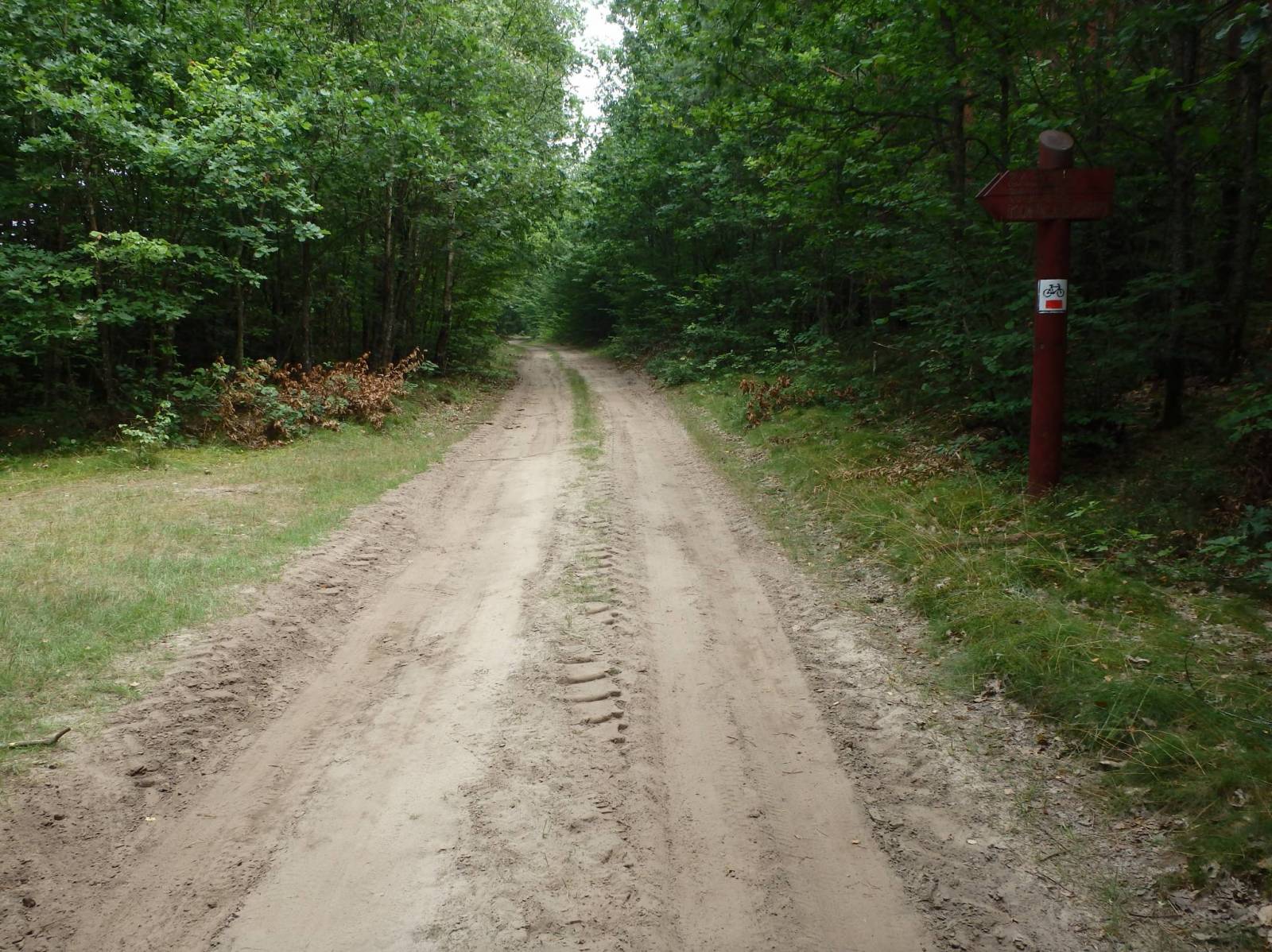 Zdjęcie 6