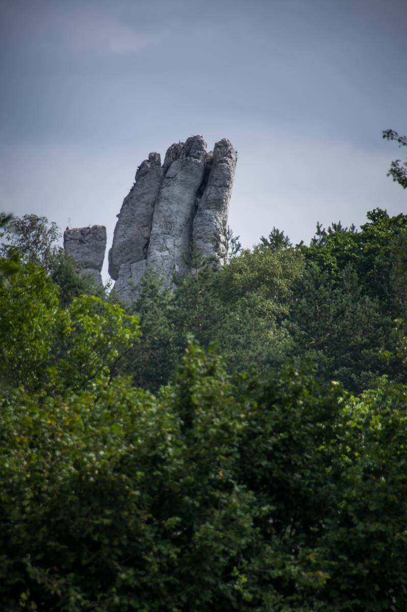 Zdjęcie 5