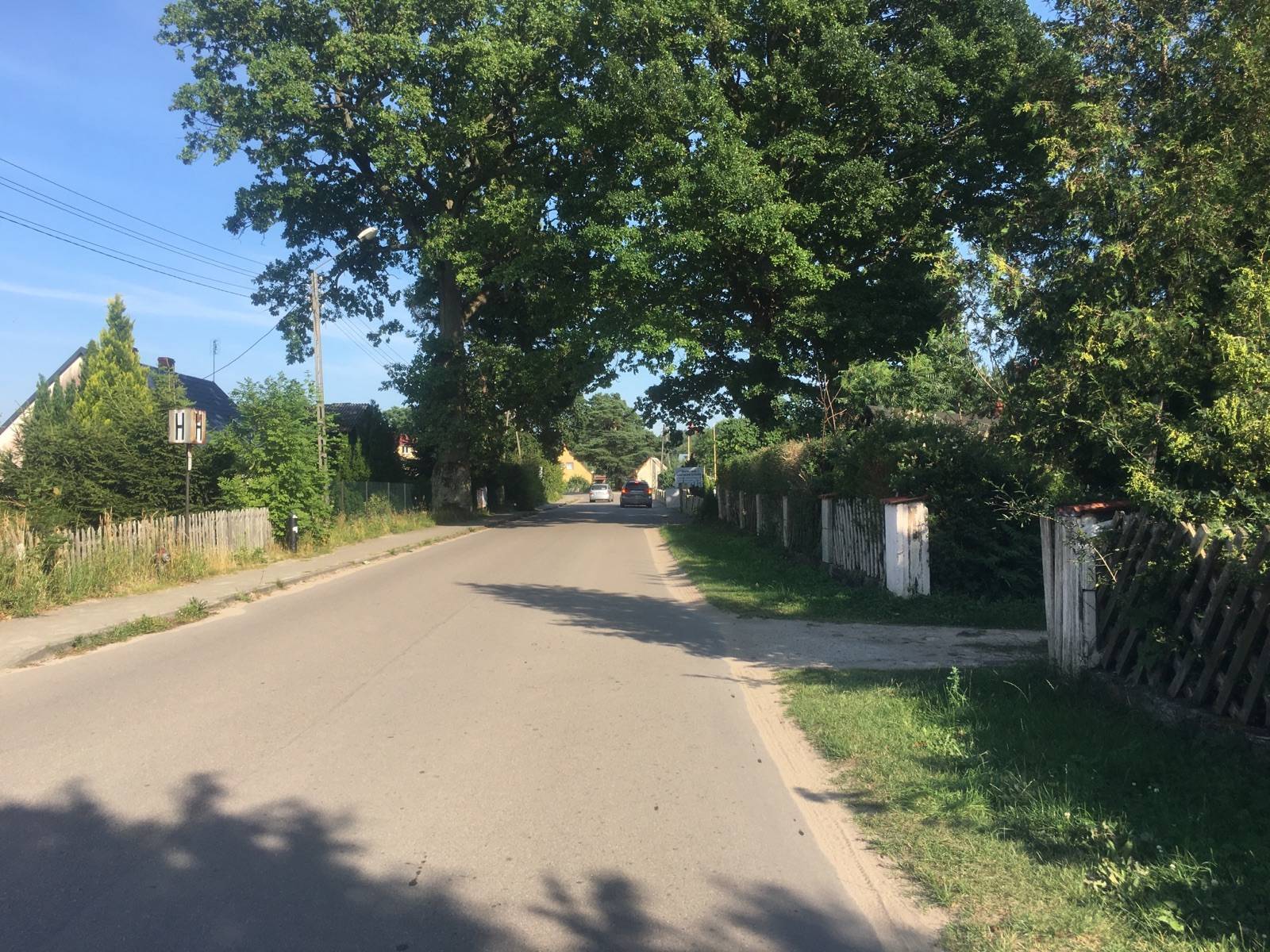 Zdjęcie 2