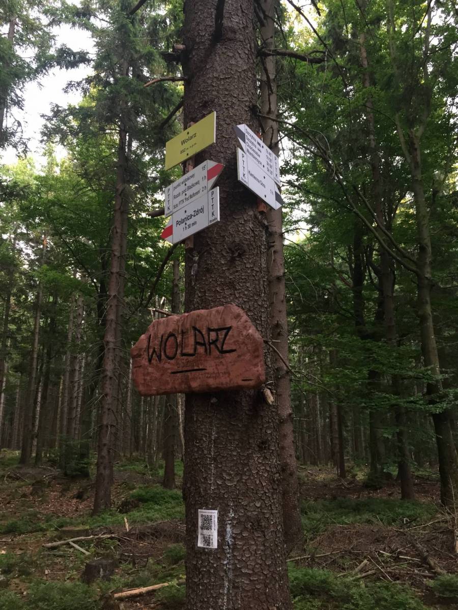 Zdjęcie 6