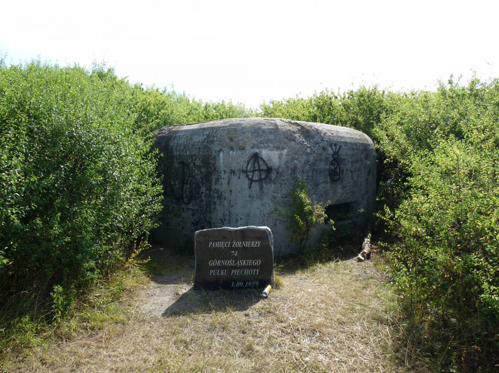 Zdjęcie 6