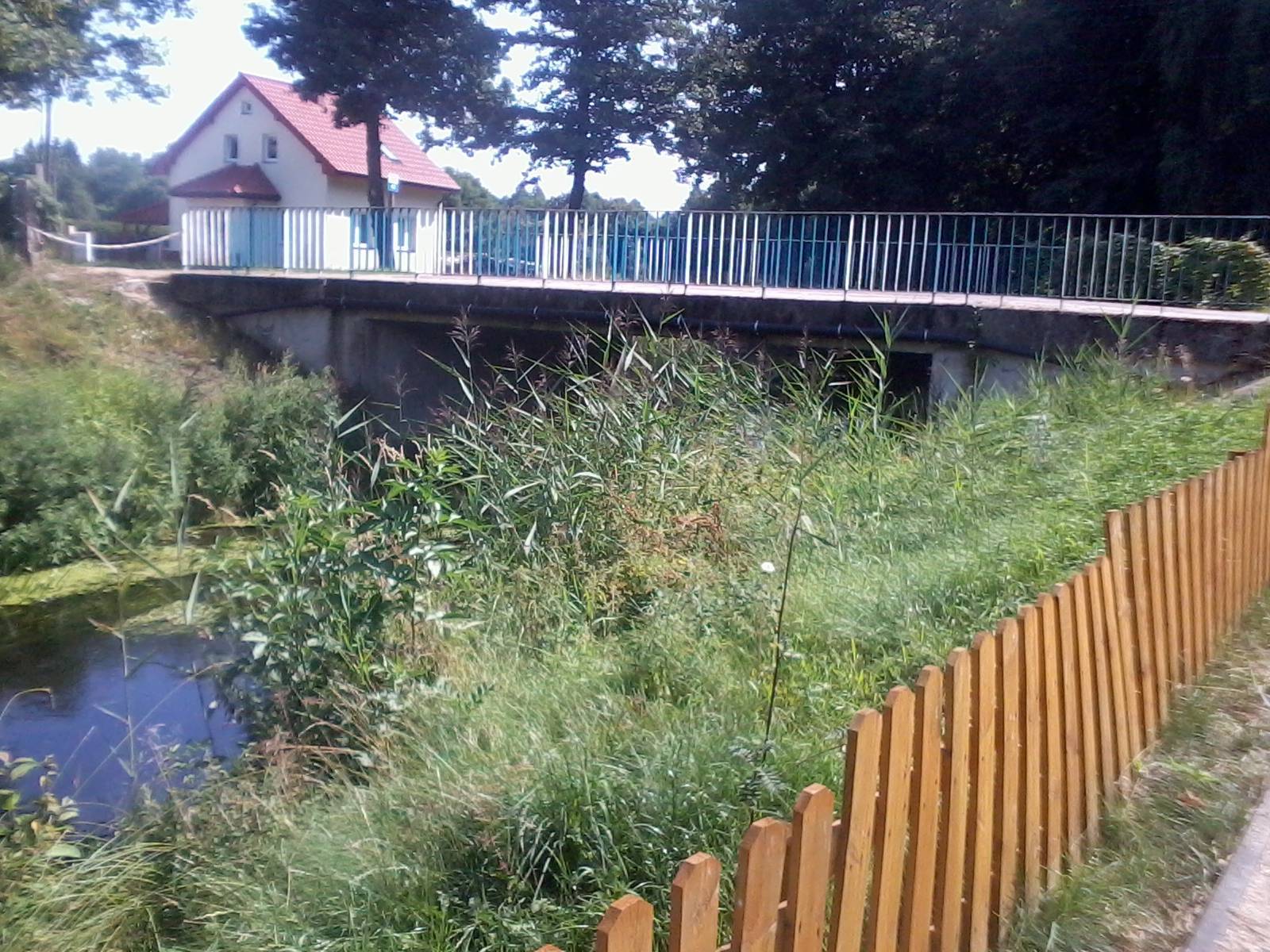Zdjęcie 6