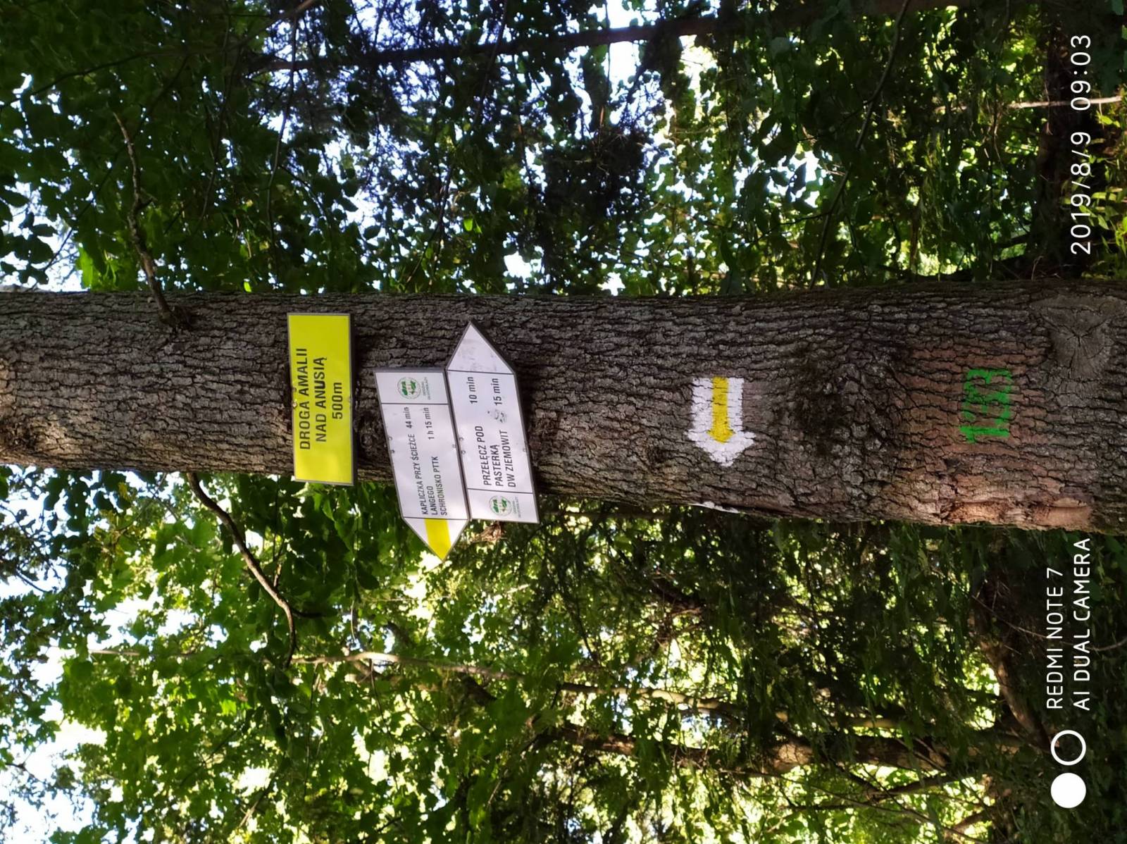 Zdjęcie 6