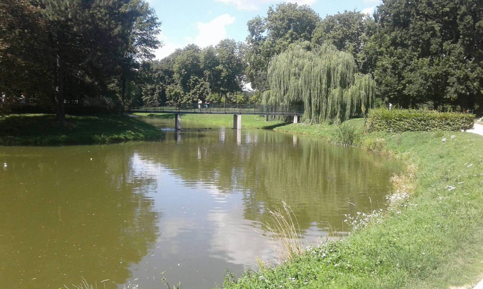 Zdjęcie 4