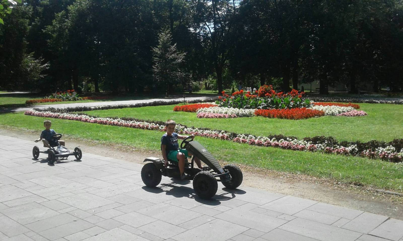 Zdjęcie 5