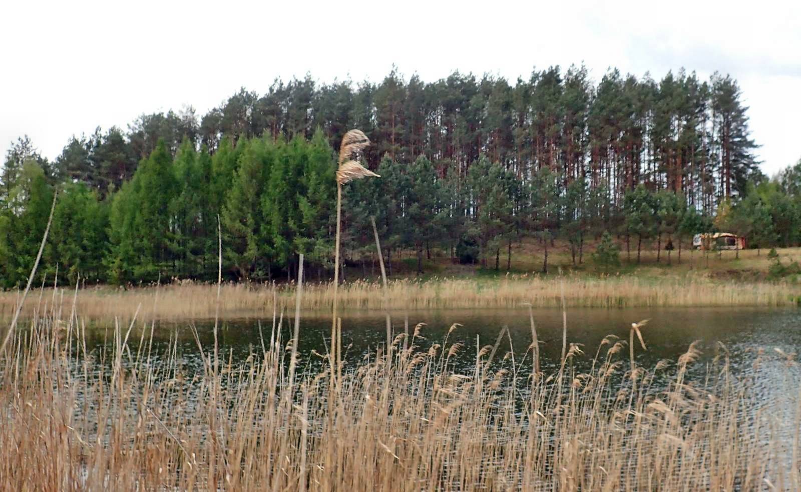 Zdjęcie 5