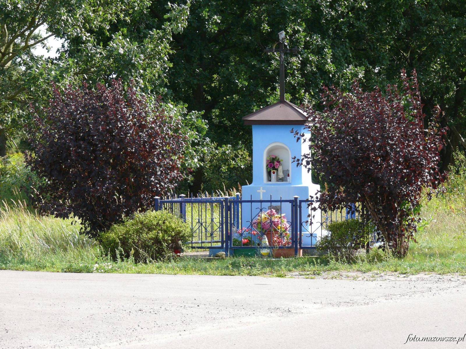 Zdjęcie 6