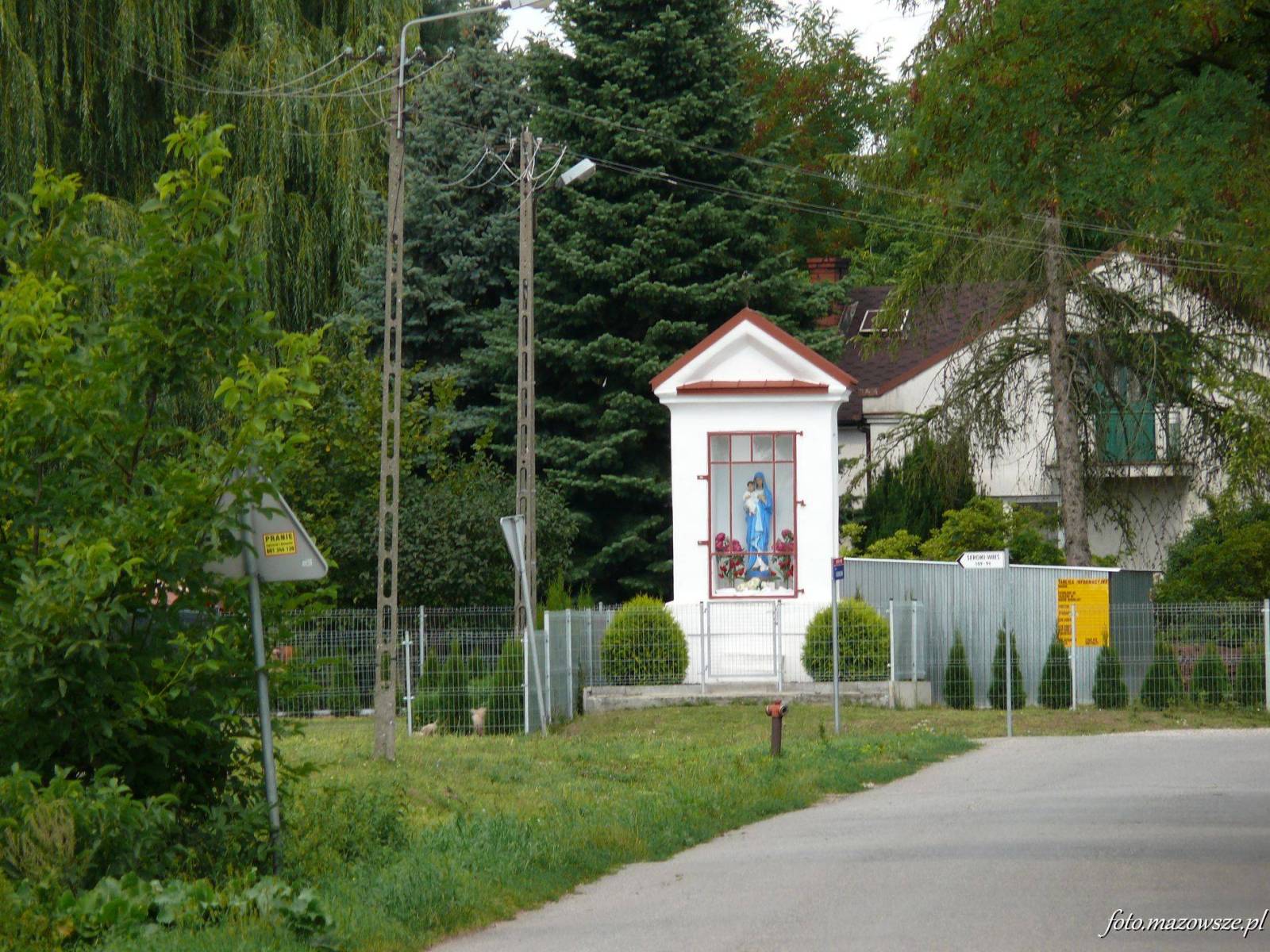 Zdjęcie 5