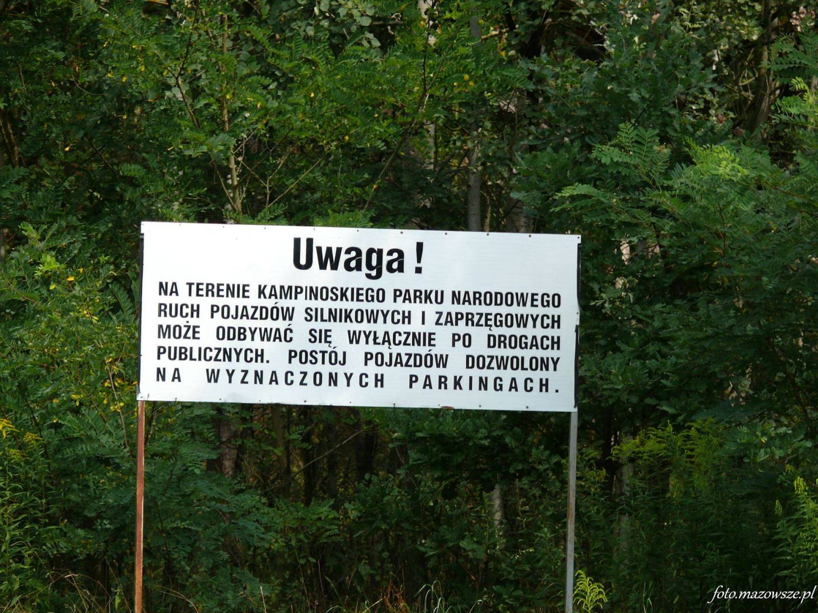 Zdjęcie 6