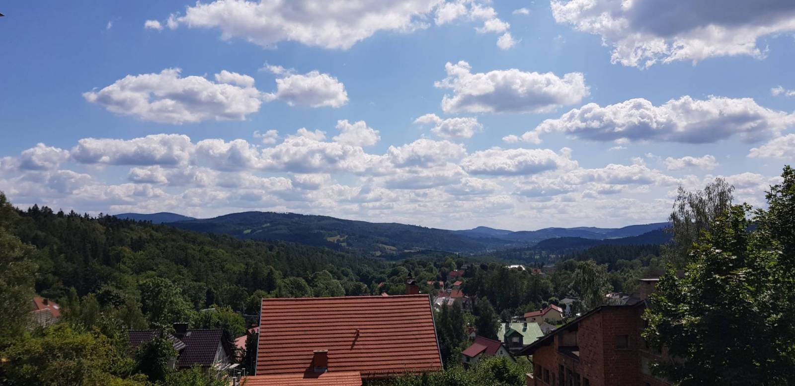 Zdjęcie 2