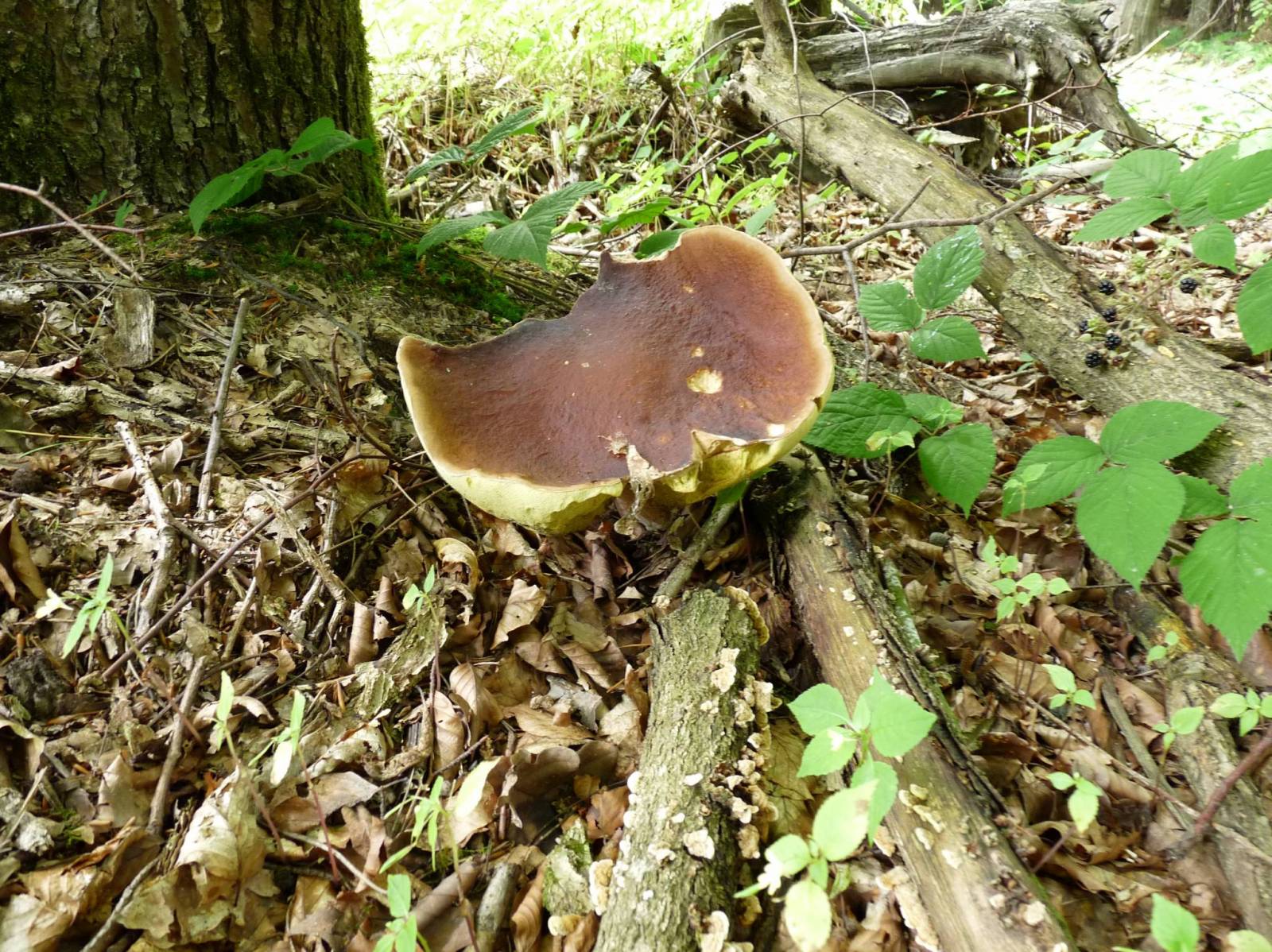 Zdjęcie 6