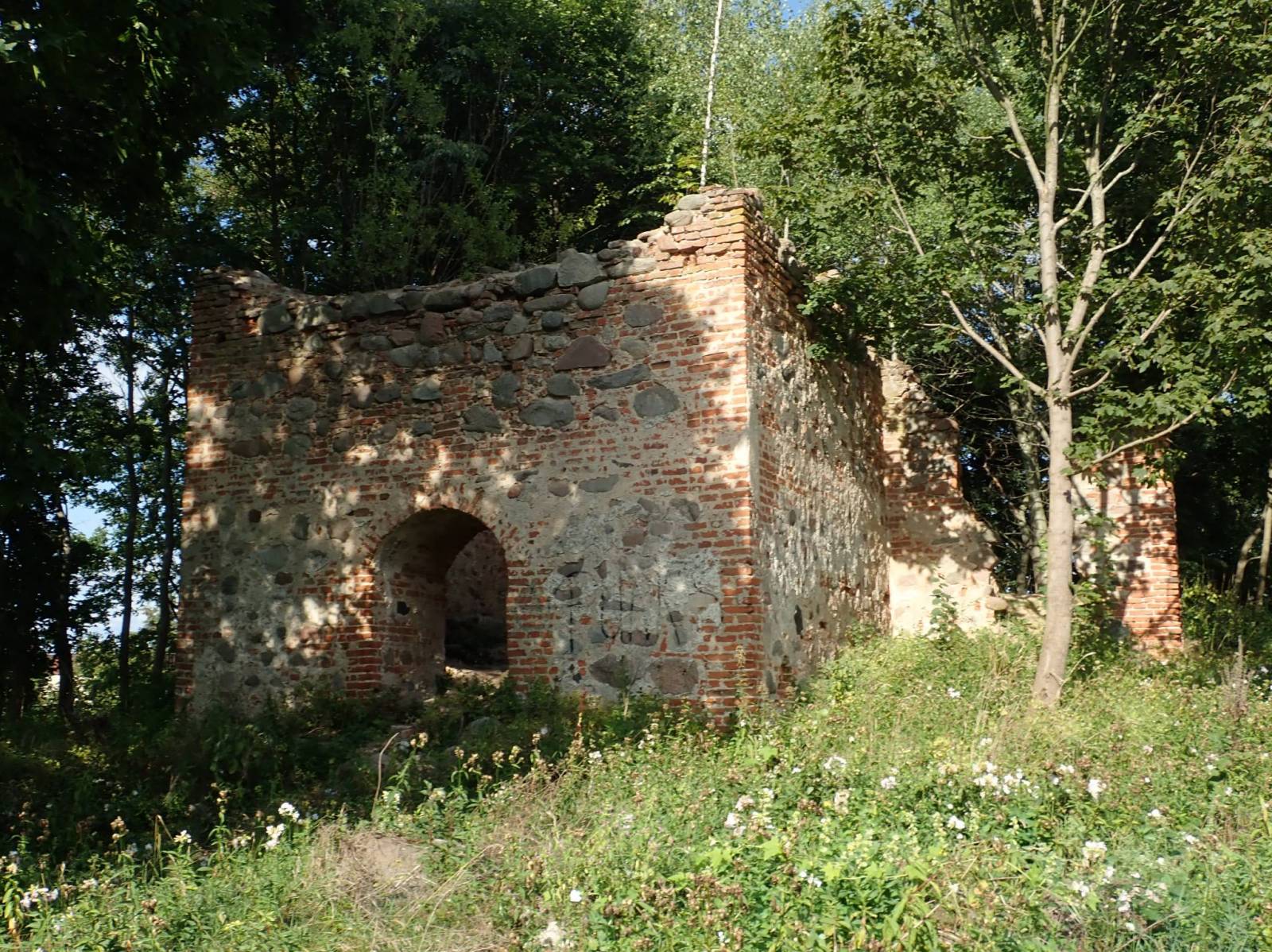 Zdjęcie 6