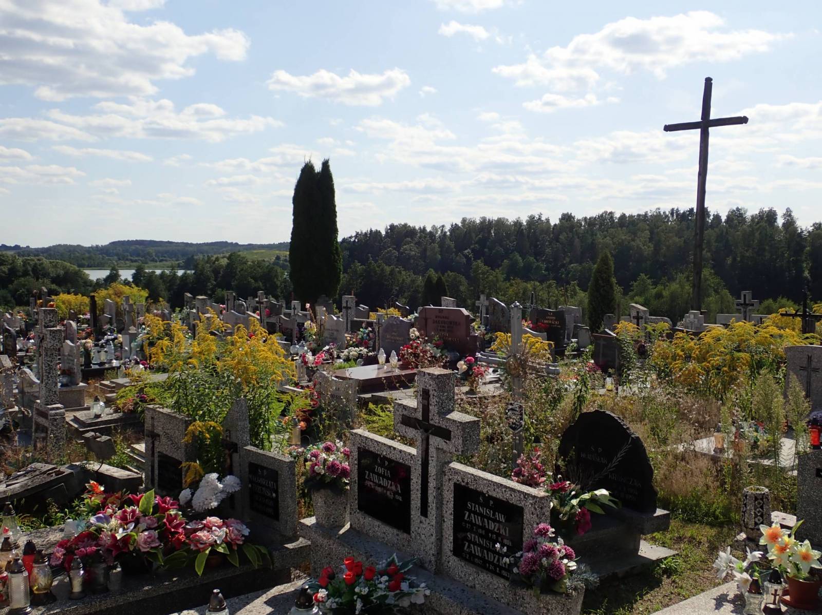 Zdjęcie 5