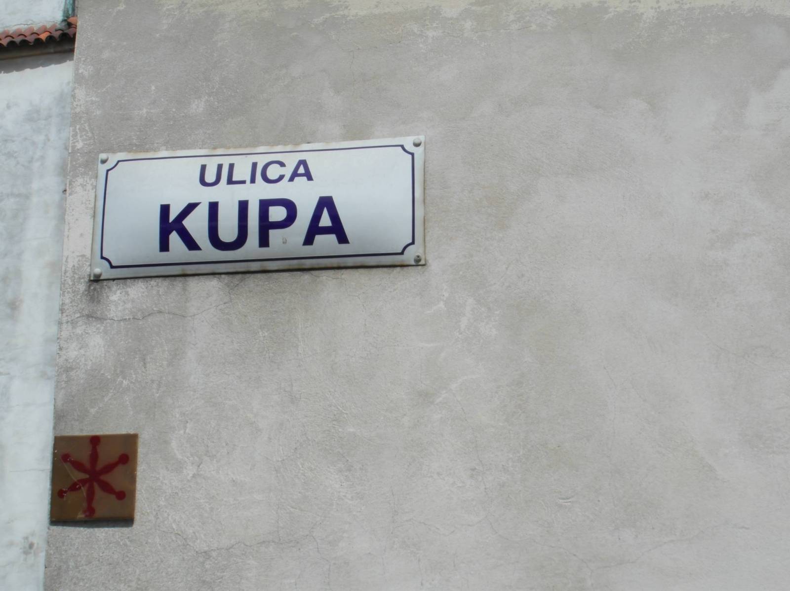 Zdjęcie 5