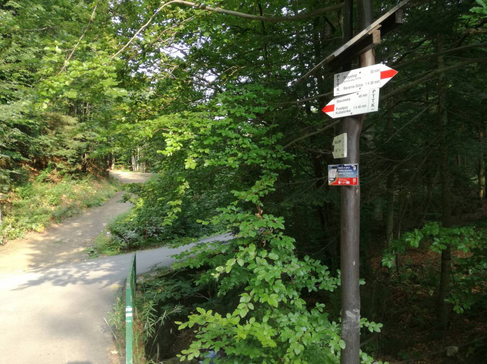 Zdjęcie 6