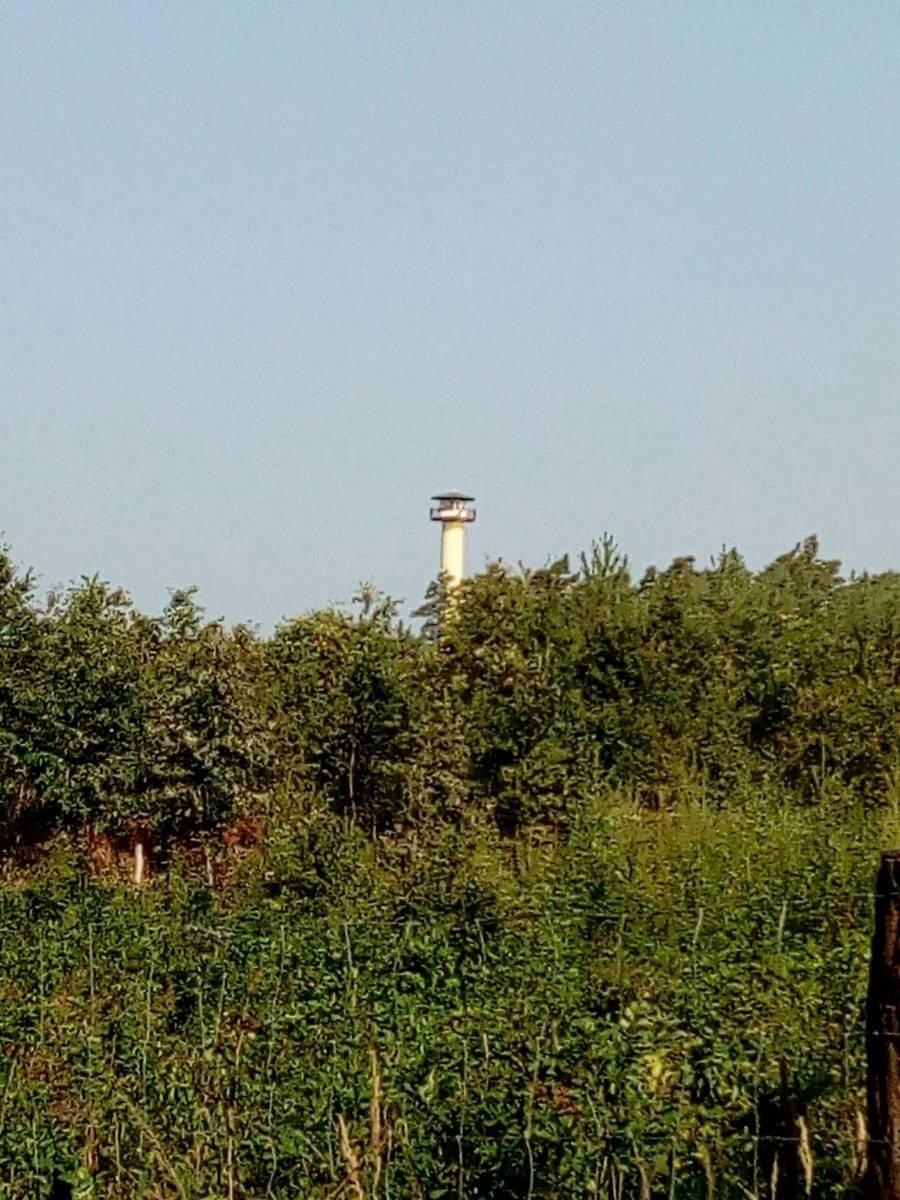 Zdjęcie 2