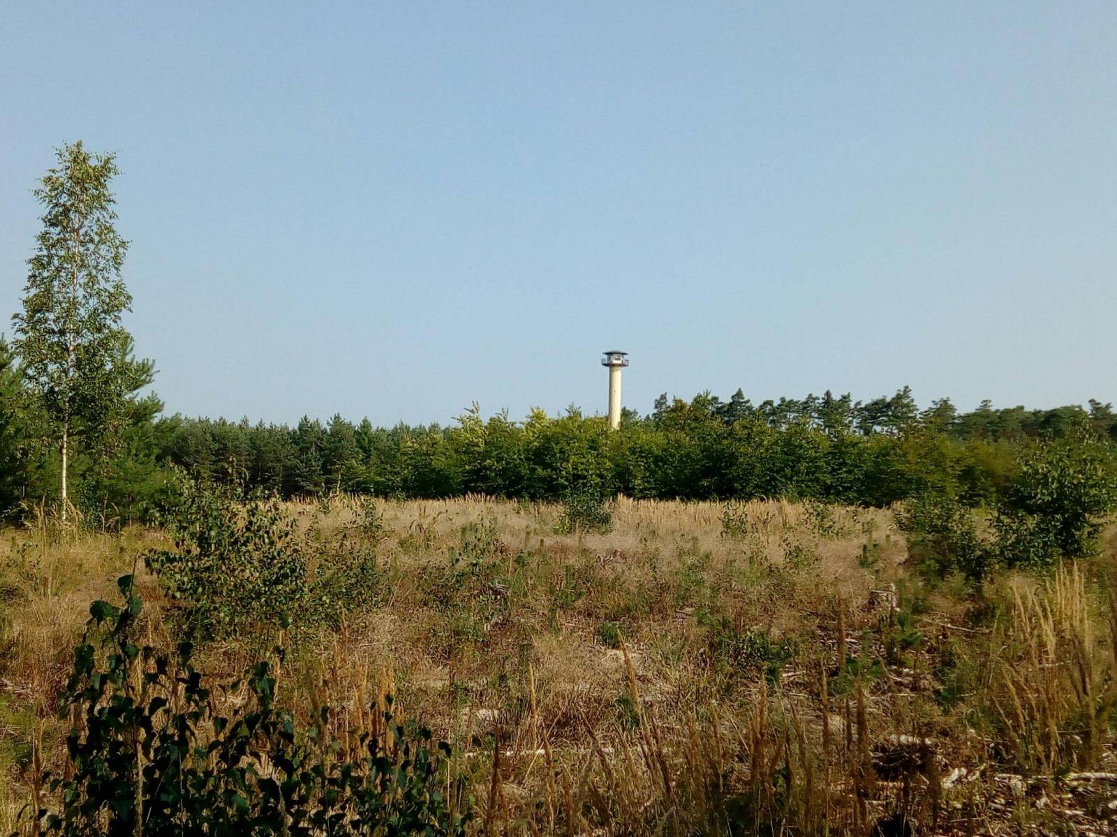 Zdjęcie 4