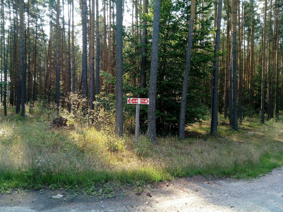 Zdjęcie 5