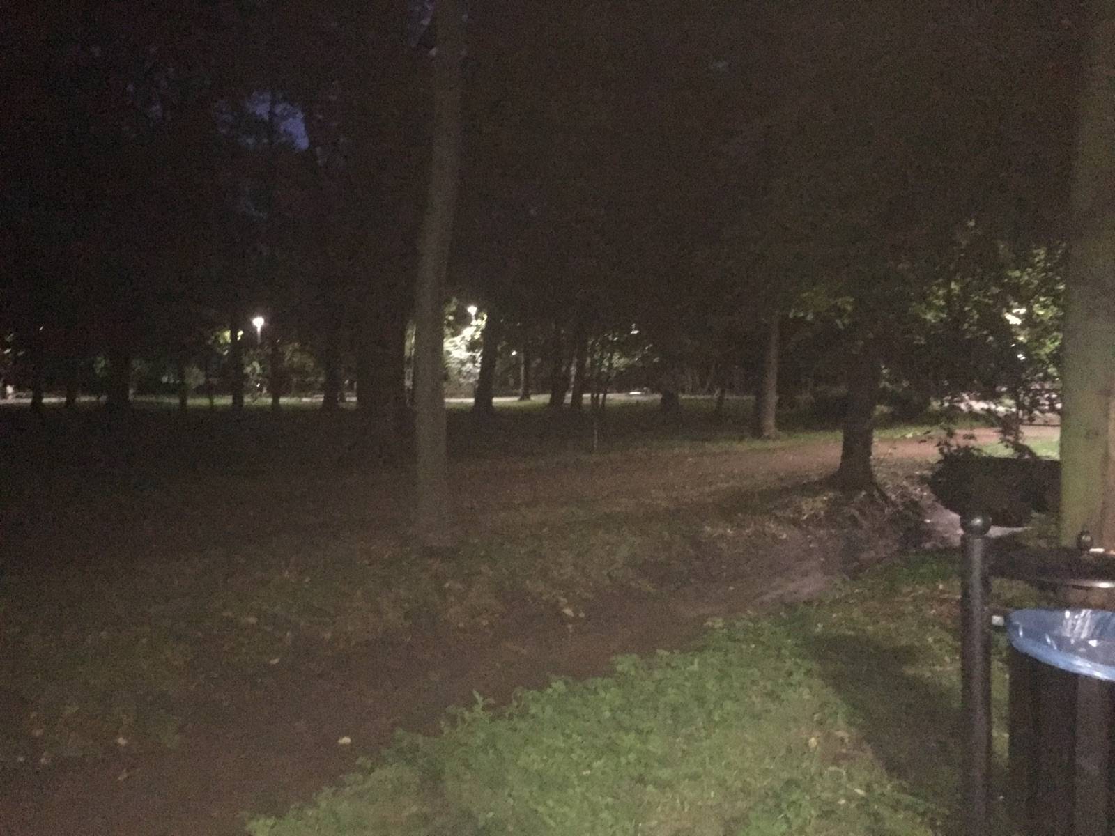 Zdjęcie 4