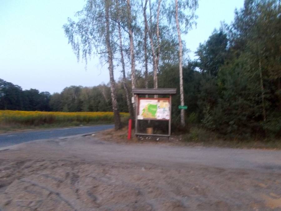 Zdjęcie 5
