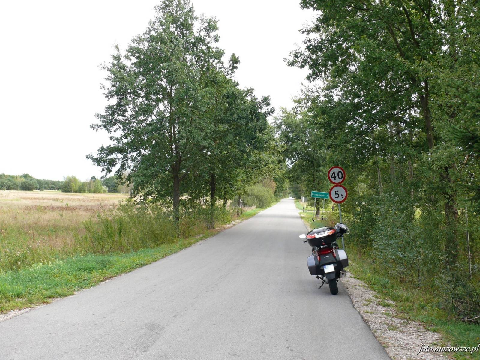 Zdjęcie 5