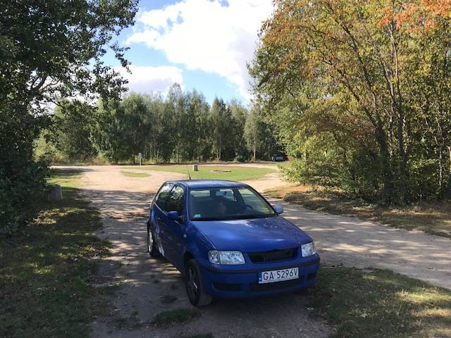 Zdjęcie 6