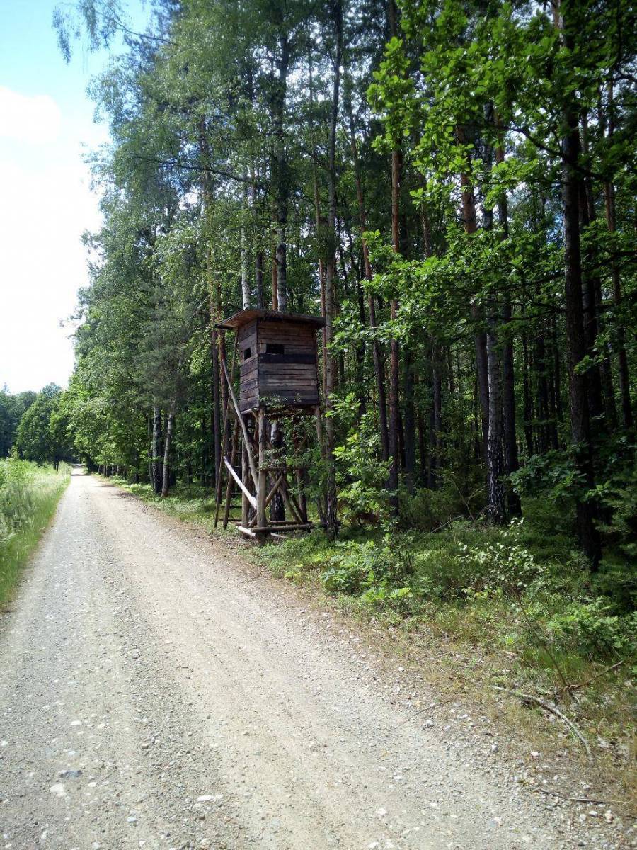 Zdjęcie 6