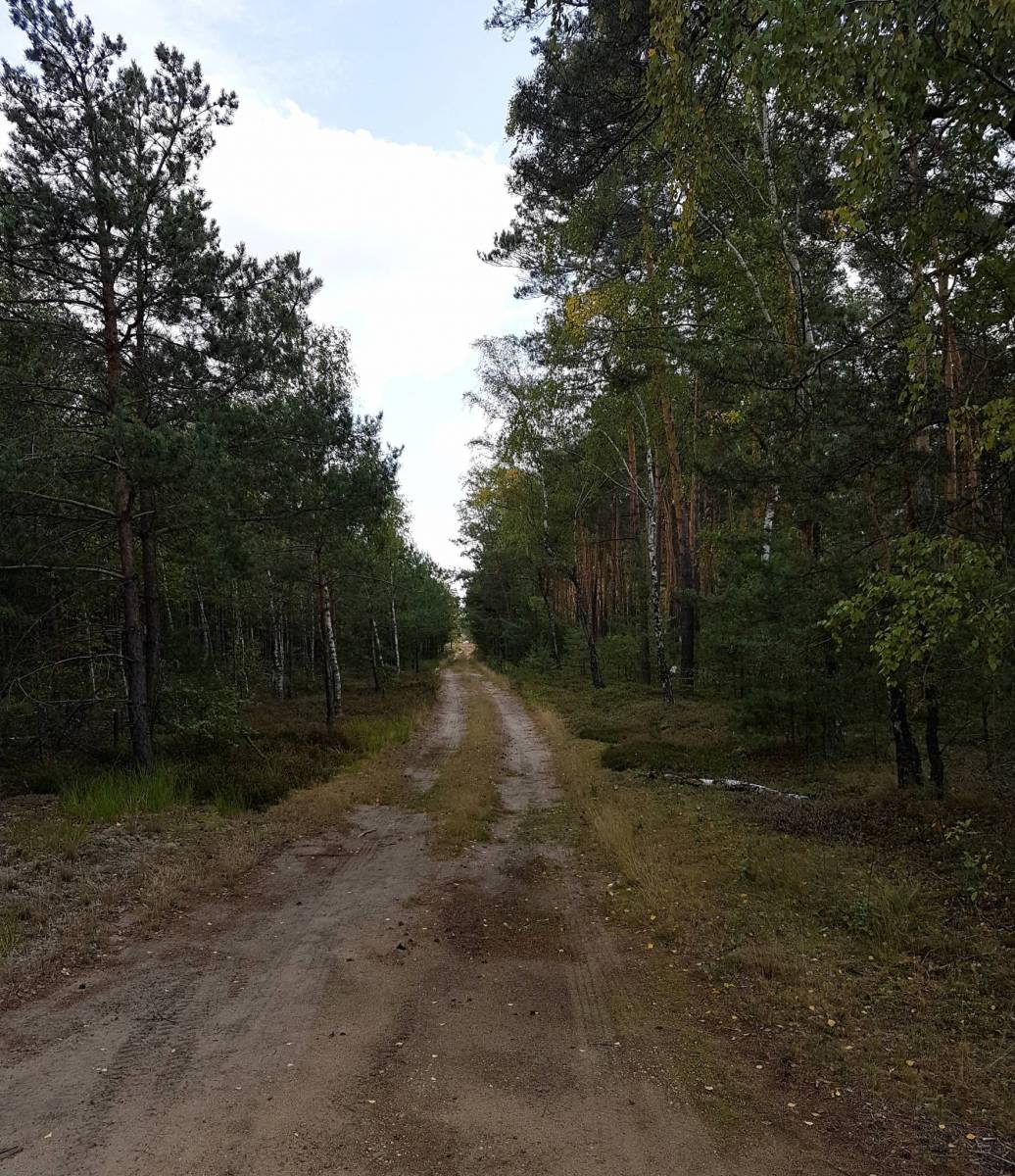 Zdjęcie 4