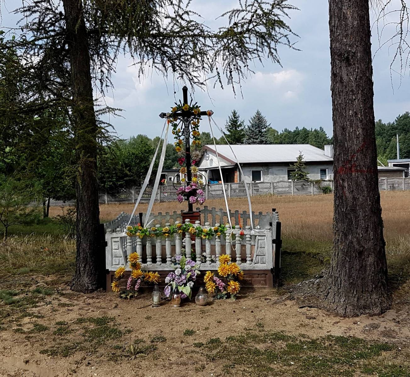 Zdjęcie 6