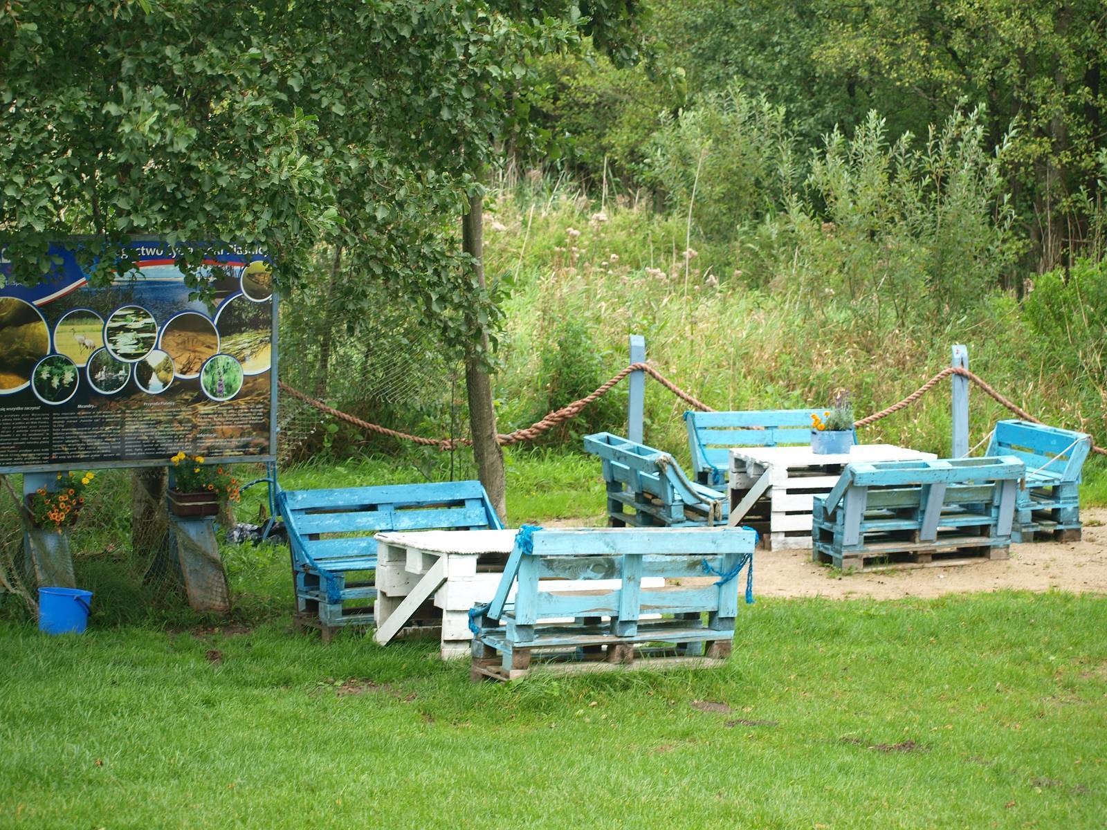 Zdjęcie 6