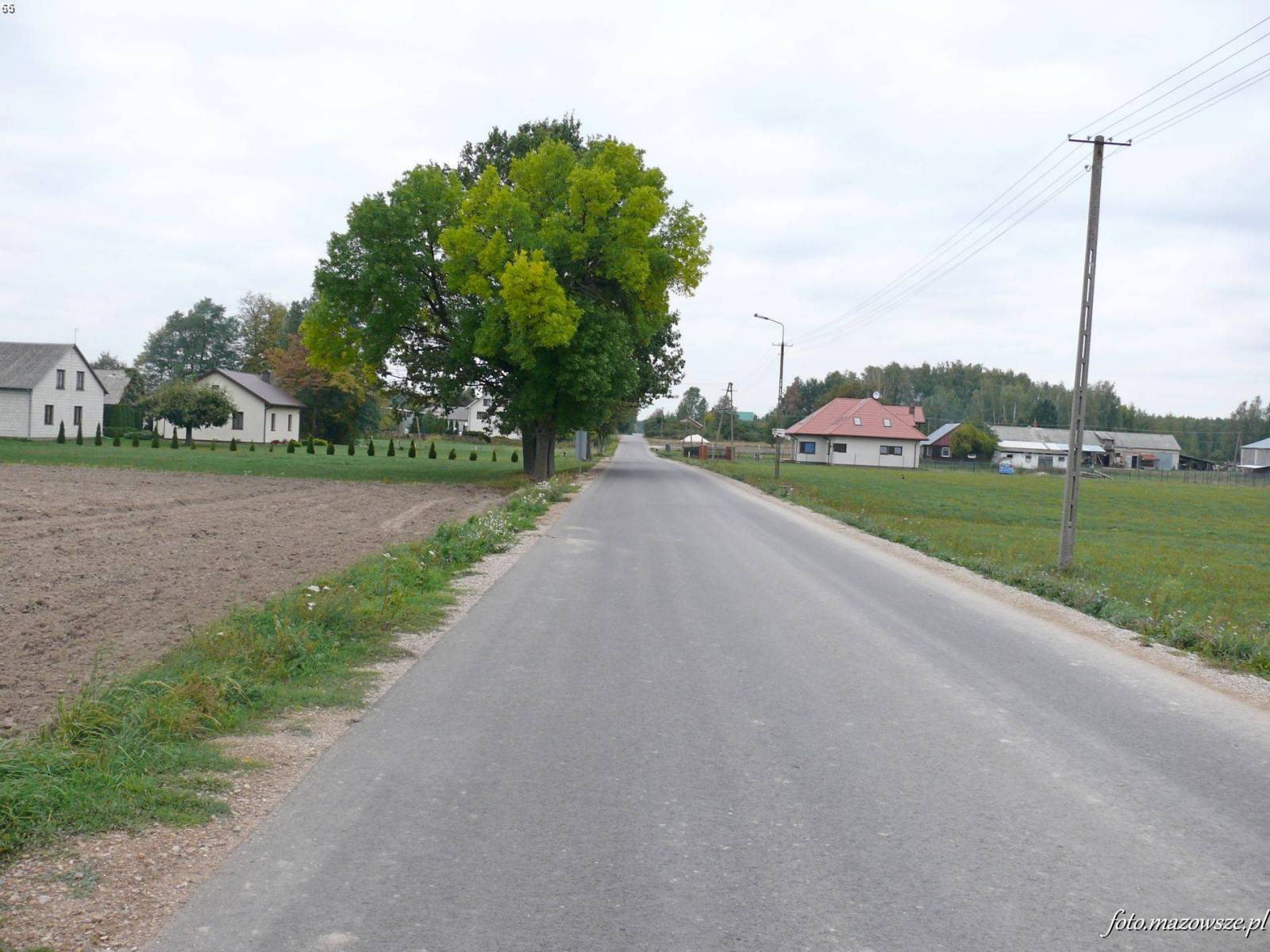 Zdjęcie 2