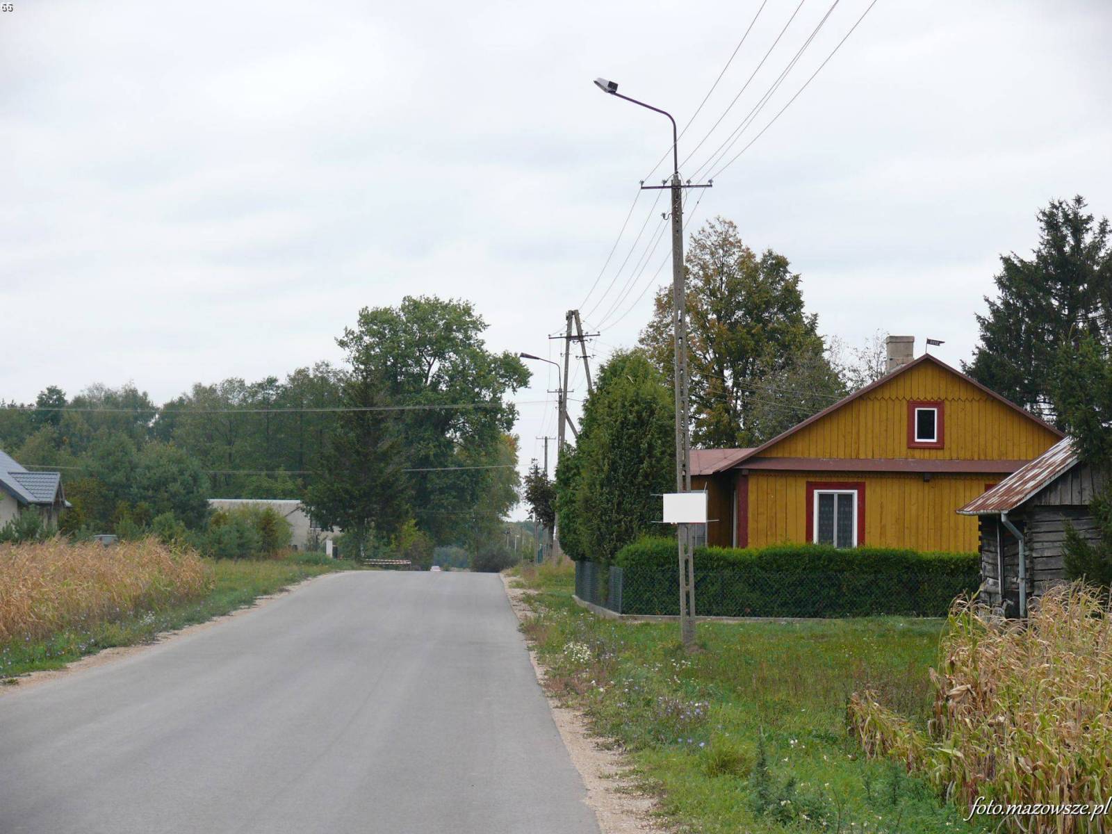 Zdjęcie 3