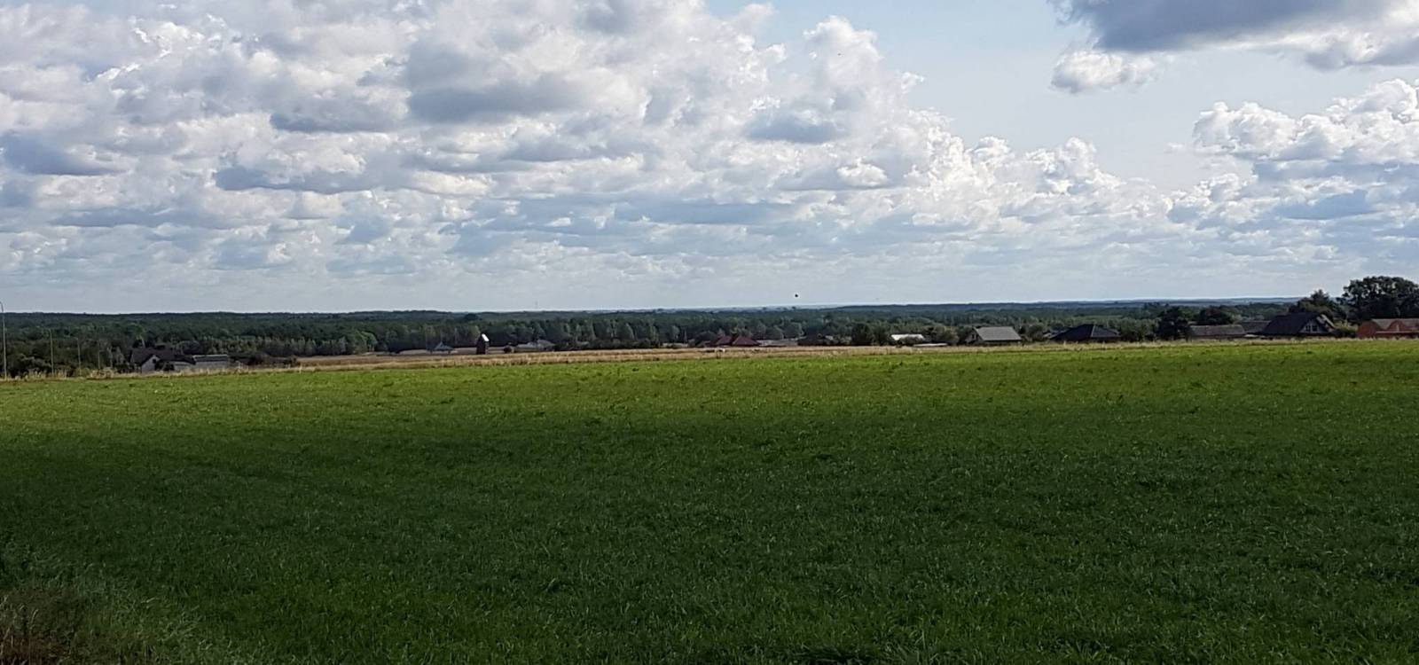 Zdjęcie 5