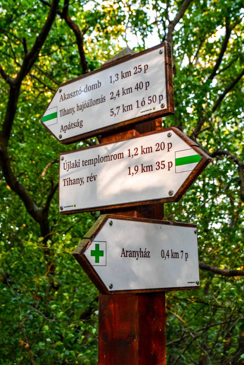 Zdjęcie 2