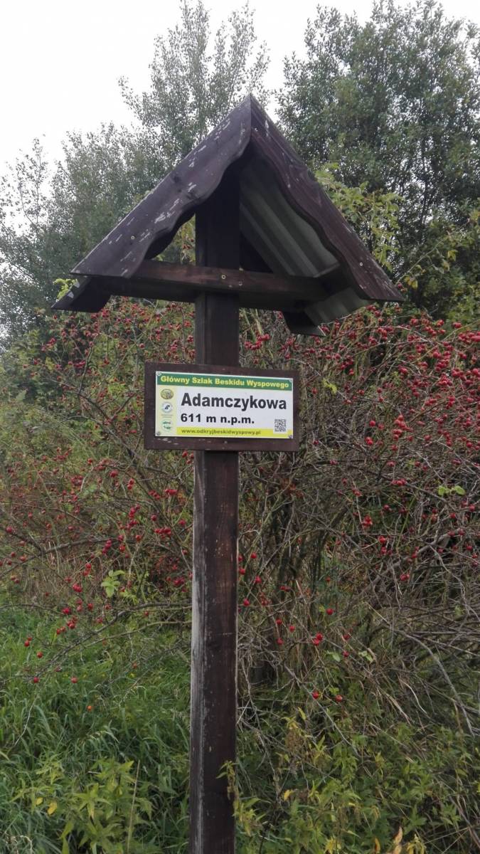 Zdjęcie 6