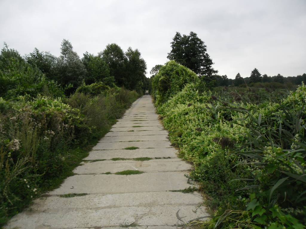 Zdjęcie 6
