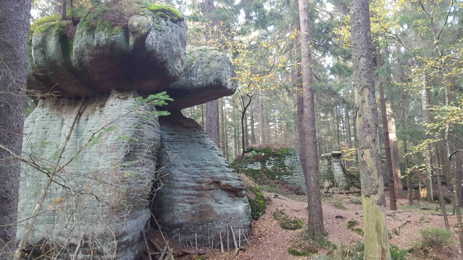 Zdjęcie 5