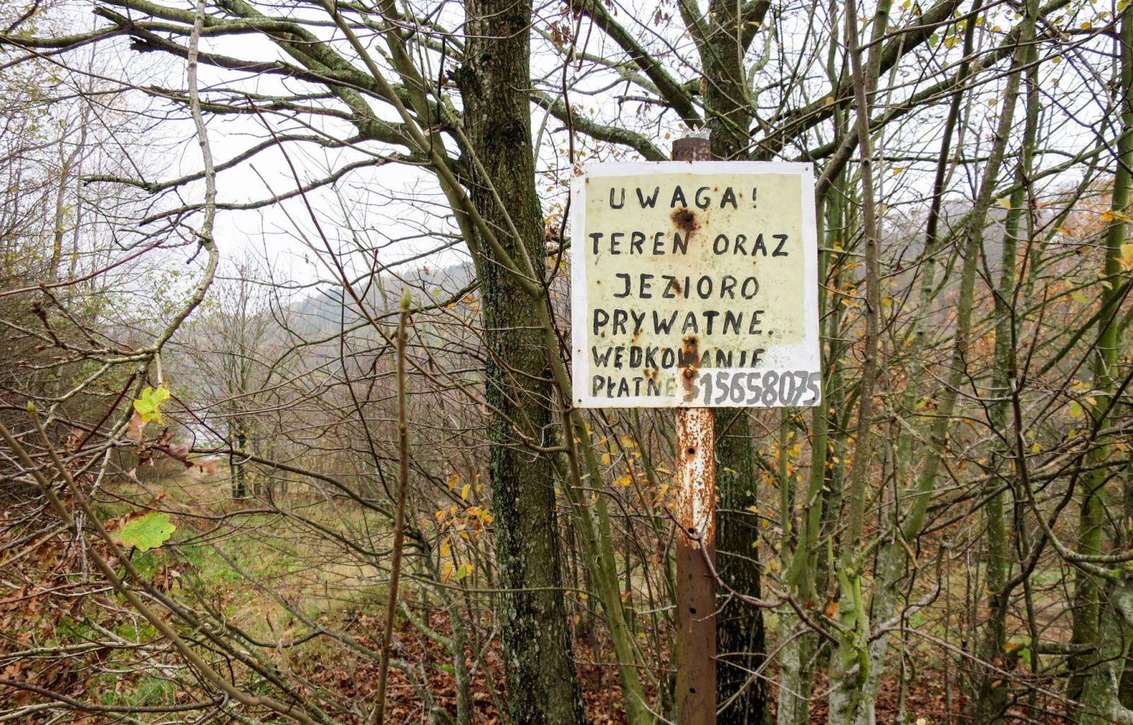Zdjęcie 5
