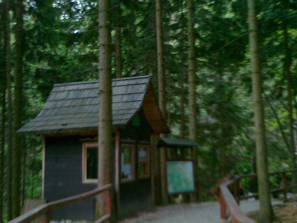 Zdjęcie 6