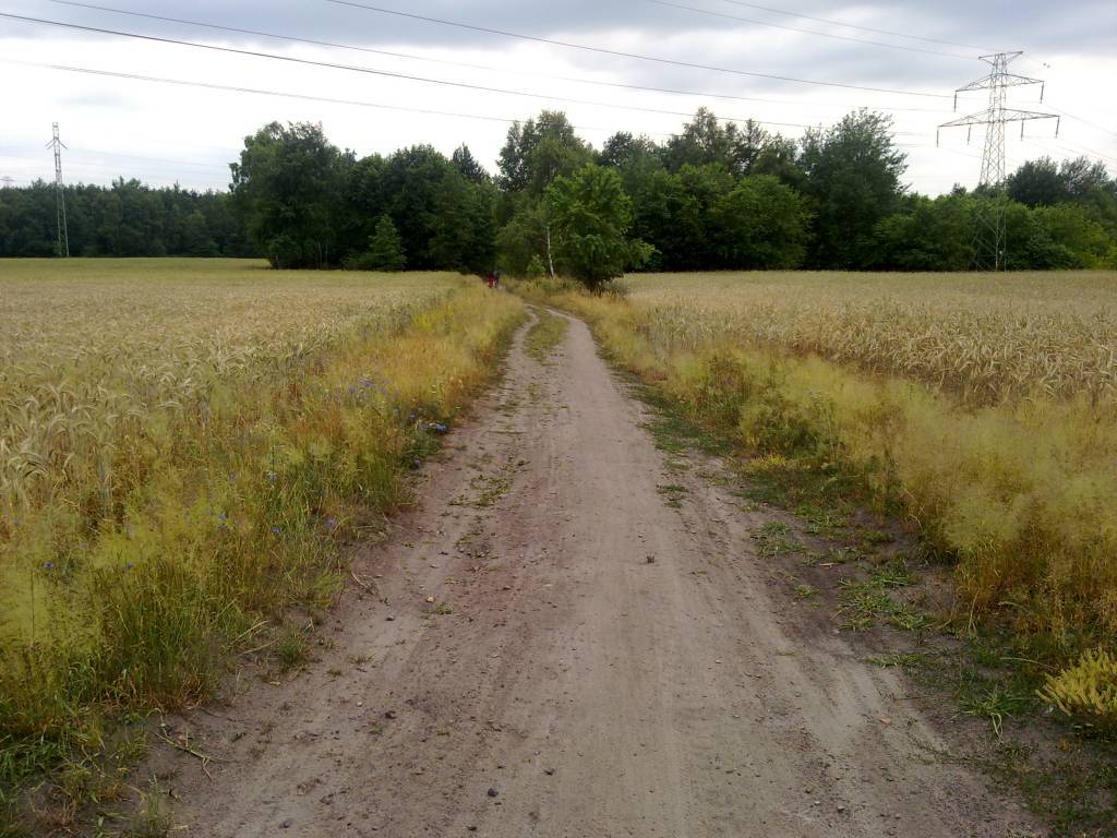 Zdjęcie 6