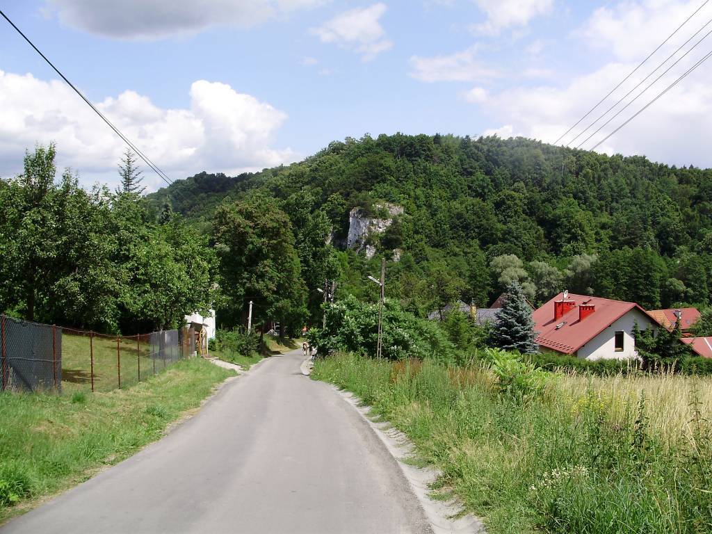 Zdjęcie 3