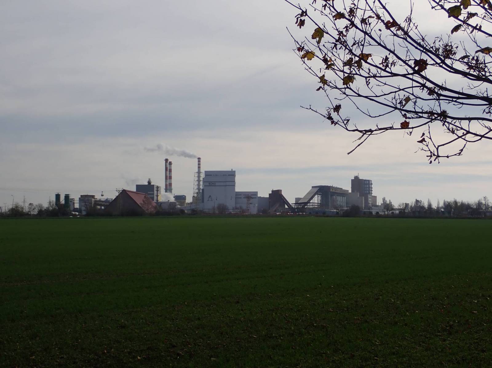 Zdjęcie 6