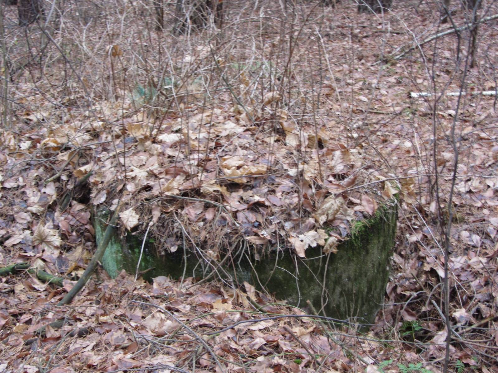 Zdjęcie 5