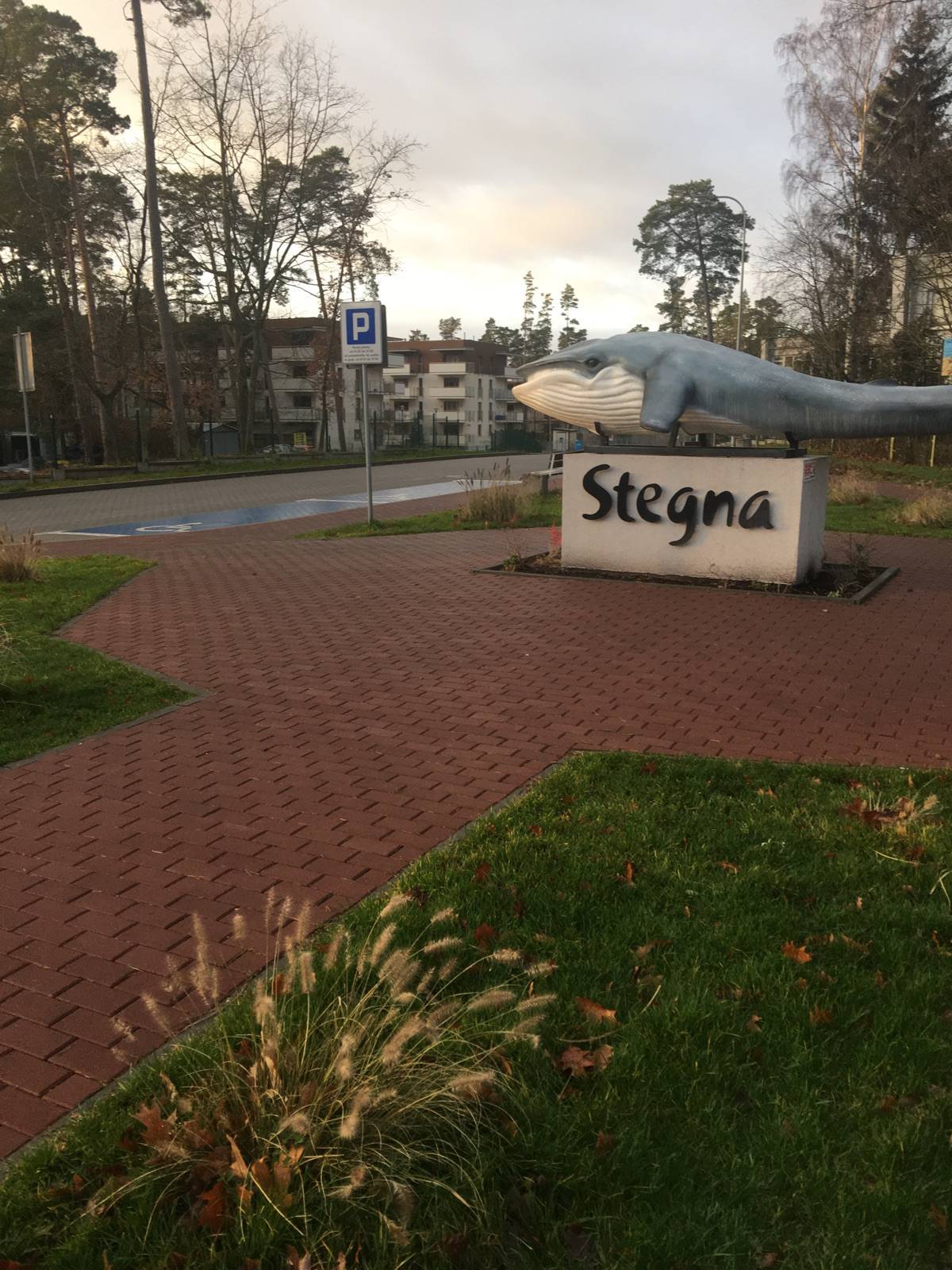 Zdjęcie 6