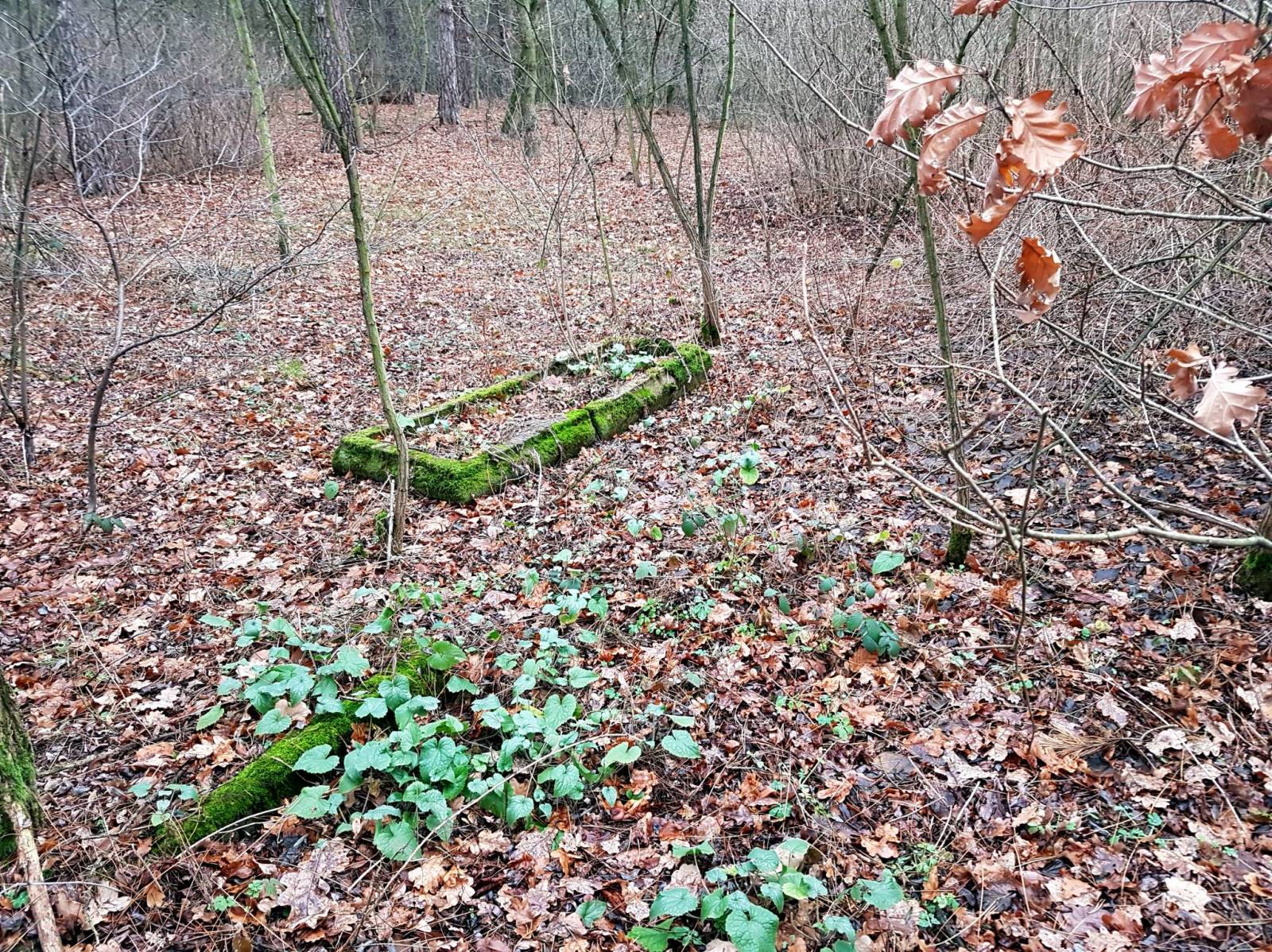 Zdjęcie 2